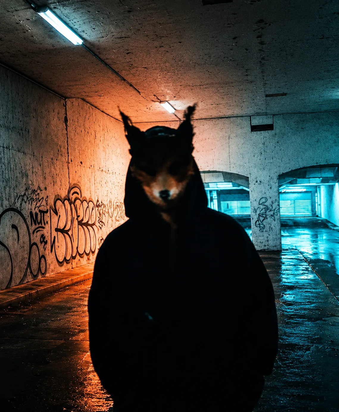 FoxTune